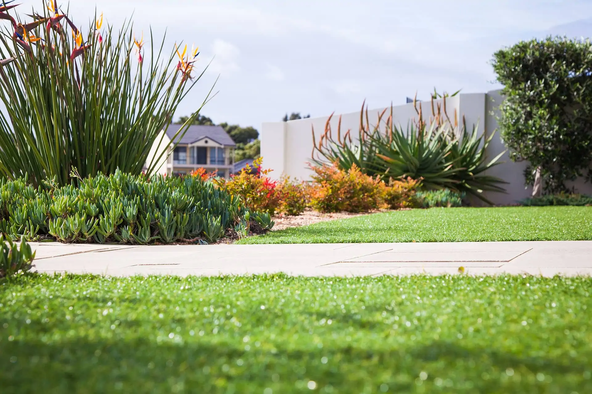 Artificial Turf